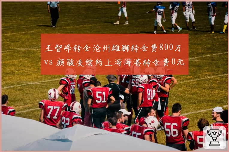王智峰转会沧州雄狮转会费800万 vs 颜骏凌续约上海海港转会费0元，门将市场价值冰火两重天
