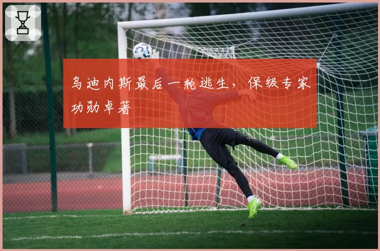 乌迪内斯最后一轮逃生,保级专家功勋卓著