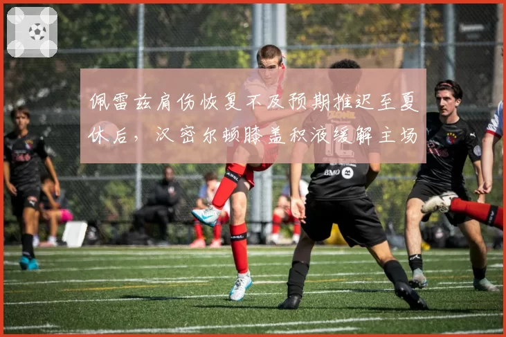 佩雷兹肩伤恢复不及预期推迟至夏休后,汉密尔顿膝盖积液缓解主场复出无虞