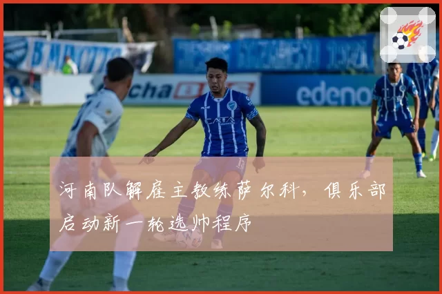 河南队解雇主教练萨尔科，俱乐部启动新一轮选帅程序