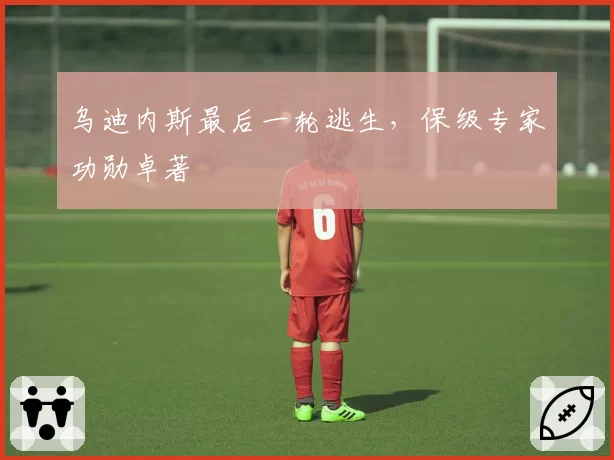 乌迪内斯最后一轮逃生,保级专家功勋卓著