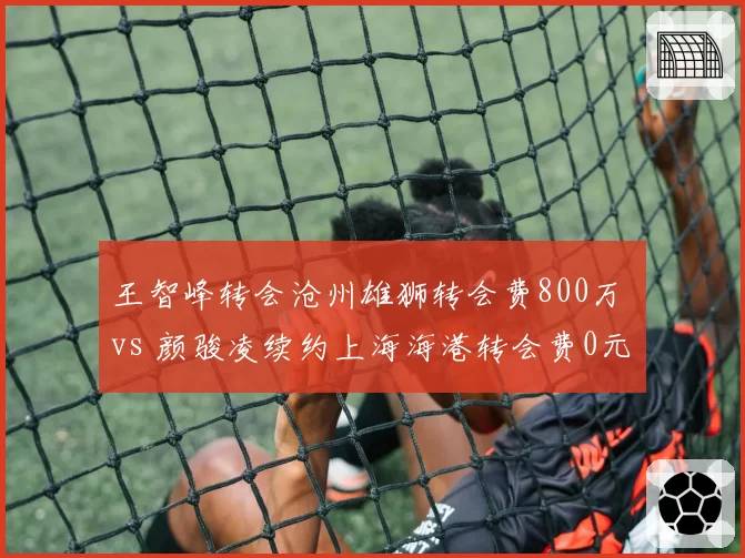 王智峰转会沧州雄狮转会费800万 vs 颜骏凌续约上海海港转会费0元，门将市场价值冰火两重天